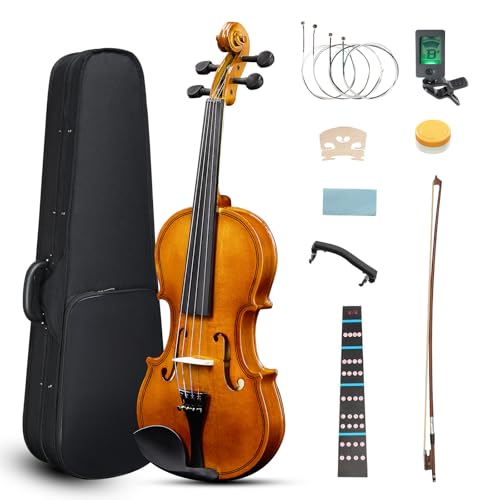 Ktaxon Full Size Violin, 1/4 Acoustic Violin with Portable Case,