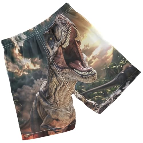 Pigsaly Boys' Swim Board Shorts Jurassic Dinosaurs 3D Fire Boy's Swim Trunks Kids Swimwear M2