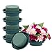 Flower Arrangement Kit - 6-Pack Round Floral Foam in Single Design Bowl for Table Centerpiece, Wedding Aisle Flowers, Party Decoration, Green