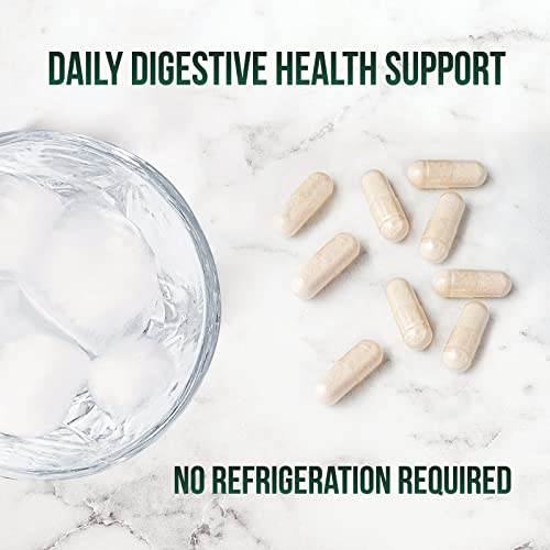 Probiotics 60 Billion Cfu With Prebiotics - Supports Digestive Health, Daily Men & Women's Probiotic Supplement, Natural Immune Support, Shelf Stable, Gluten Free, No Soy Or Dairy - 120 Capsules #TOP6