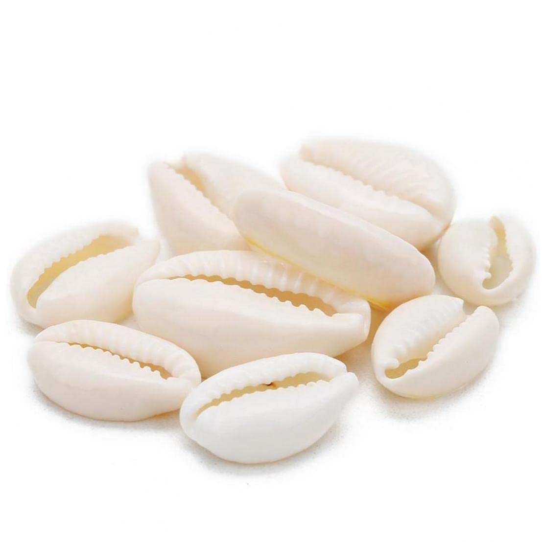 Pinicecore Beige White 50Pcs White Sea Shell Beads For Jewelry Making Cowrie Cowry Charm Beads Diy Necklace Bracelet Accessories Jewelry