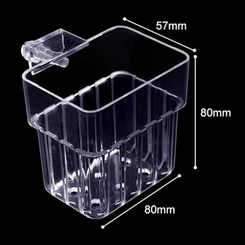 Support plante aquarium suspendu en PP transparent pour décor