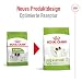 ROYAL CANIN X-SMALL Adult Trockennahrung für Hunde – 0.5 kg