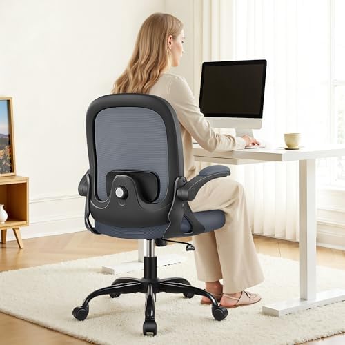 Primy Desk Chair Ergonomic Office Chair with Adjustable 3D Lumbar ...