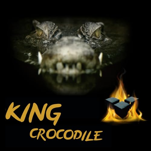 King Crocodile Kokosnuss Kohle Cubes 40x40mm 6kg I Kohlewürfel mit Zugloch I Nachhaltige Naturkohle mit Langer Brenndauer & wenig Asche I Grillkohle mit geringer Rauchentwicklung