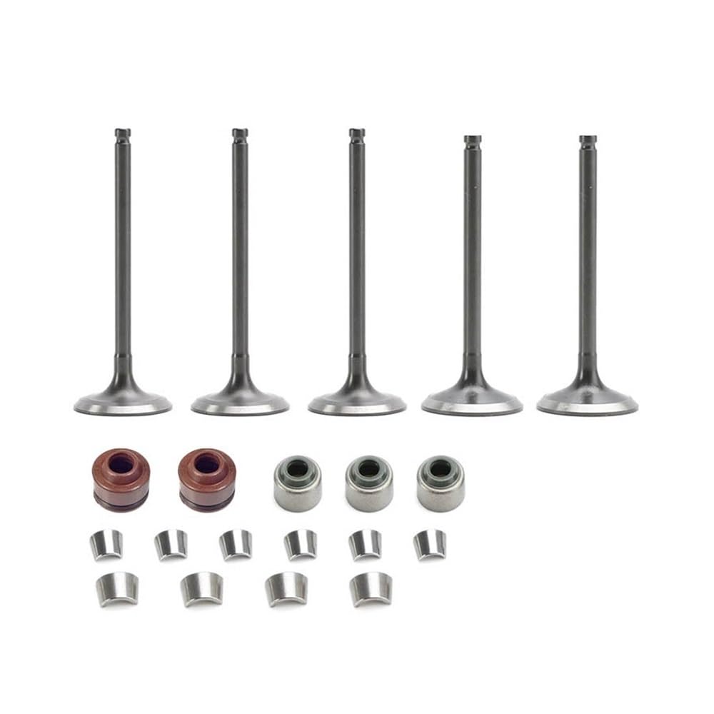 Whaljsdoz One Color Engine Valve Fit For Yamaha Wr450f Yz450f Yfz450 5Ta-12112-00 5Ta-12121-00