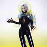 【非売品】bjork ビョーク『Vulnicura』ポスター　未使用品 非売品】bjork ビョーク『Vulnicura』ポスター未使用品