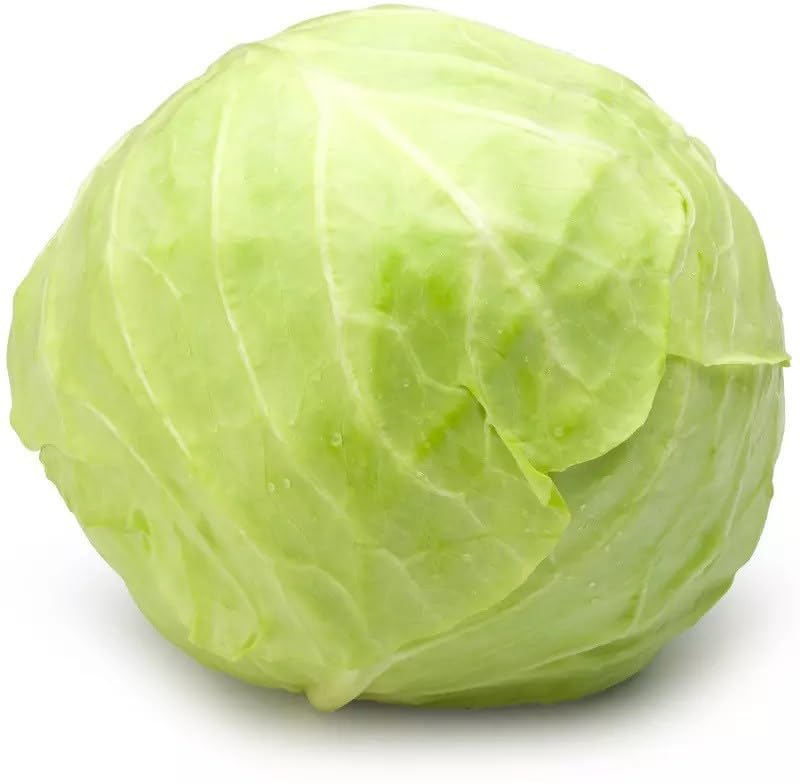 Willvine Round Shape Green Ball Style Cabbage-XLI-10I-picture-29