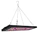 Produktbild Lengjoy LED Pflanzenlampe 40W, Zimmerpflanzen Wachstumslampe Vollspektrum LED Grow Lampe Pflanzenlicht für Treibhaus Zimmerpflanzen Hydrokultur Gemüse und Blumen (40W)