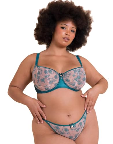 Scantilly Entwined Balcony Bra Balconette Womens Ladies Underwear Lingerie Deep Teal Size 36G
