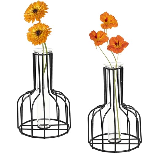 2 vasi per fiori neri con cornice in metallo, vetro trasparente, provetta, decorativi, piccoli vasi per gemme, regali per matrimoni, decorazione di fiori da tavolo, decorazione per interni, soggiorno