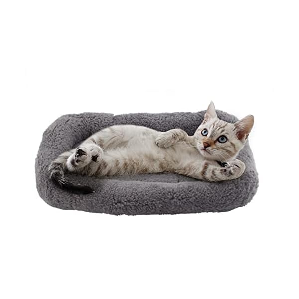 PETLESO Small Cat Bed Mat Plush Pet Cushion, 15″ x 10″ Cat Pad with Cozy Pillow Around for Indoor Pets, Pup Curl Sleep Self Warming Mat for Crate Carrier/Outdoor Pet Houses, Non-Slip Bottom, Small