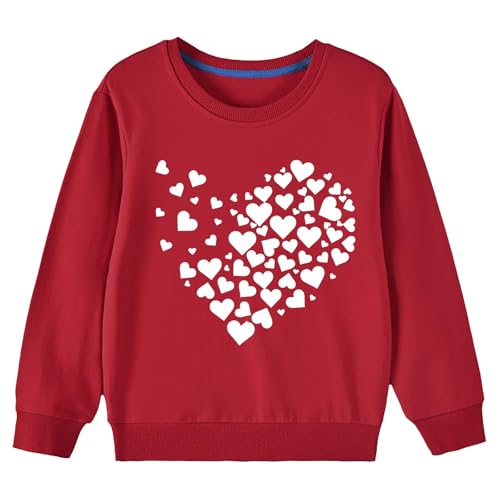 Cute Sweatshirts For Toddlers Long Sleeve Crewneck Pullover Tops Girls Boys Graphic Sweaters Fall Fashion Clothes4