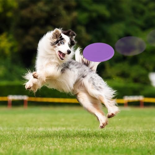 YGORTECH Agility Set Hunde Groß, Hunde Parcour Reaktionstraining für Hundetraining Zubehör mit 300CM Hundetunnel, Agility Hürden, Slalomstangen,Springring Hunde Agility Set