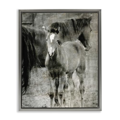 Stupell Industries 'Vintage Foal Horse Farmland'| Floating Frame Canvas Art