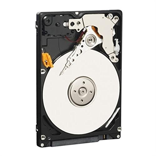 Amazon.com: Western Digital 250GB 2.5