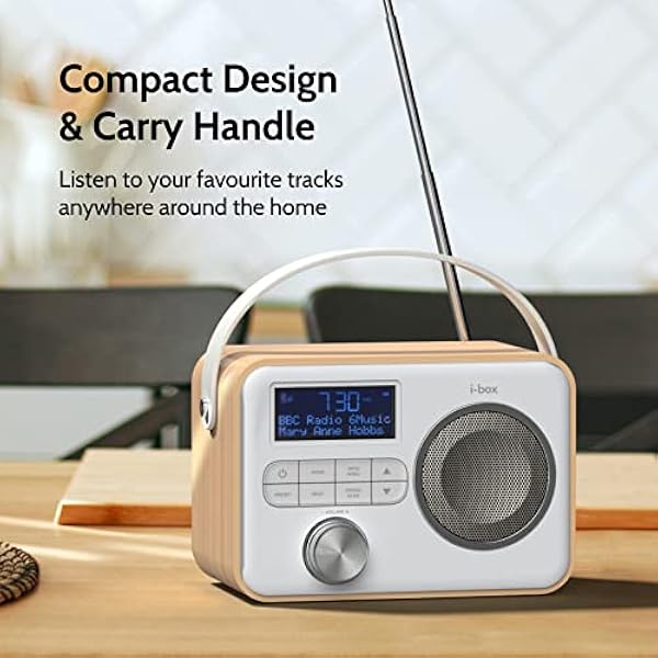 Radio DAB/DAB /FM con Bluetooth, rete e alimentazione a batteria, radio DAB portatile ricaricabile con ricarica USB per 10 ore di riproduzione