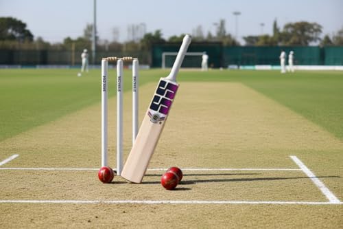 Image of SS English Willow Cricket bat Full Size