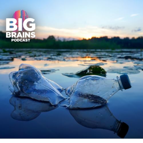 What Our Trash Problem Says About Our Culture, with Sarah Newman