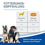 NutriLabs Acid Protect Hund Magenkräuter Kautabletten zur Unterstützung bei empfindlichem Magen, mit Montmorillonit & Estifor Kautabletten, 10 Kautabletten