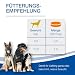 NutriLabs Acid Protect Hund Magenkräuter Kautabletten zur Unterstützung bei empfindlichem Magen, mit Montmorillonit & Estifor Kautabletten, 10 Kautabletten