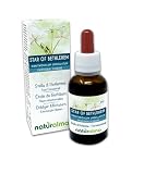 Star of Bethlehem o Stella di Betlemme (Ornithogalum umbellatum) Fiori emozionali o Fiori di Bach Naturalma - Gocce 30 ml - Estratto idroalcoolico liquido - Vegano - Formula originale con Brandy