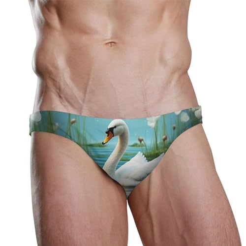 Swan Flower Men's Swimwear Sexy Bikini Solid Siwmming Briefs L 208482802