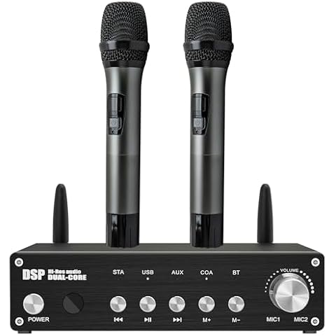 Ldxtechs UHF Wireless Microphone System, Cordless Karaoke Microphone System with 2 Handheld Wireless Mic, Bluetooth Microfono Inalambrico 200FT for DJ, Home KTV Set, Meeting, Church, Party, Wedding Cover