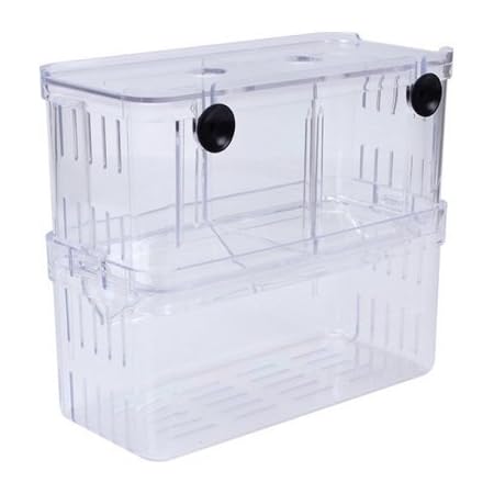 Amazon Angaou 多機能 魚 繁殖隔離ボックス 水槽 孵化 産卵箱 水族館アクセサリー 金魚 スモールサイズ Angaou 繁殖用タンク 通販