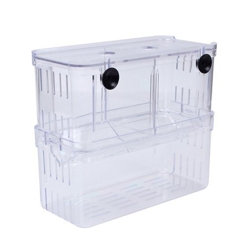 EFORCAR 1 stücke Fischzucht Boxen Doppel Guppies Schlüpfen Inkubator Isolation Acryl Mini Aquarium Tanks Durable (Groß)