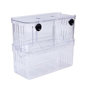 EFORCAR Vasche per allevamento di pesci guppy doppie, per schiusa, incubatrice d’isolamento, serbatoio in acrilico, mini acquario duraturo, grande, 1 pezzo