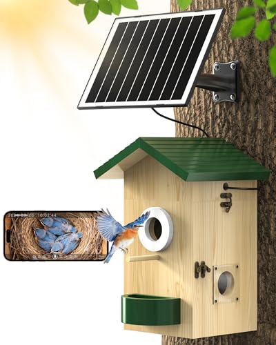 Smart Wooden Birdhouse with Camera and Feeder