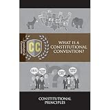 What Is A Constitutional Convention?