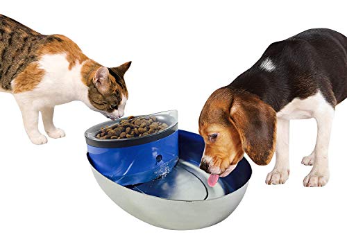 Pioneer Pet Serene Pet Drinking Fountain (Food + Water Fountain)