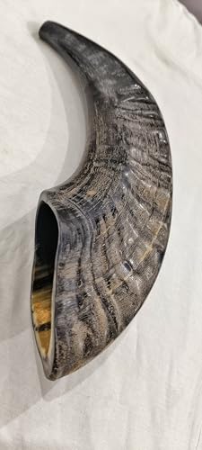 Genetric Handmade Natural Shofar Horn Bugle Natural Polished Sheep Tuneble Musical Instrument Horn Bugle (12