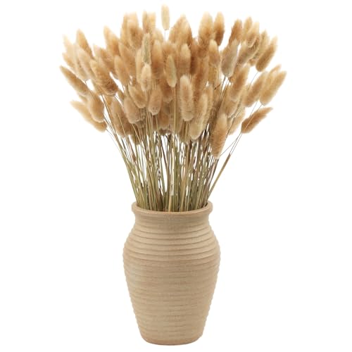 MIHUAGE Dried Bunny Tail Grass, 120PCS-17inch Rabbit Tail Pampas Grass Natural Dry Lagurus ovatus for Boho Home Wedding Party Decor Dried Flowers Arrangements（Natural Color）