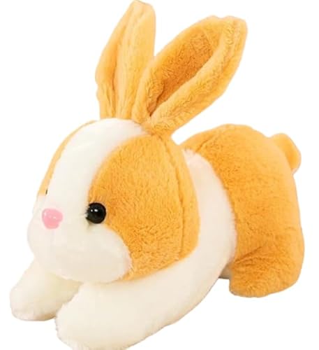 LumingLight  ETM e A \tg ₳G _炩 GG O[ Aj} (25cm,CG[) [sAi]