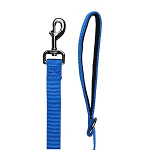 4 Feet Dog Leash with Padded Handle-Sturdy Nylon Dogs Leads for Small Medium Large Giant Dogs Walking,Training,Hiking,Jogging,Camping,etc (Classic Blue, Small: 4 Feet Length× 5/8 Inch Width) 4 Feet Dog Leash with Padded Handle-Sturdy Nylon Dogs Leads for Small Medium Large Giant Dogs Walking,Training,Hiking,Jogging,Camping,etc (Classic Blue, Small: 4 Feet Length× 5/8 Inch Width)