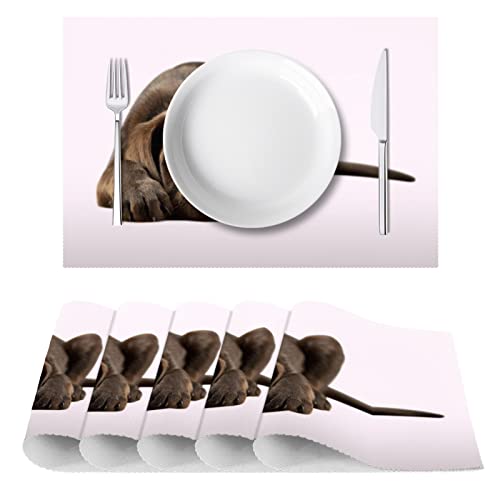 Sets de table design teckel haute résistance pour décoration de table - 3