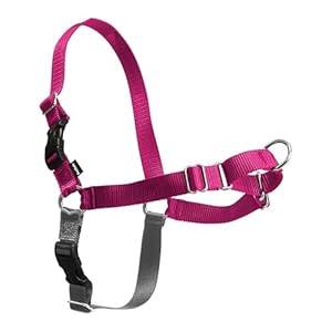 PetSafe Easy Walk Dog Harness, No Pull Dog Harness, Raspberry/Gray, Large