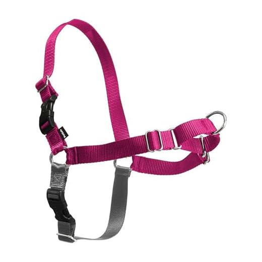 PetSafe Easy Walk Harness for Dogs - Pull-Free Walks - Patented Martingale Loop Design - Front Chest Leash Attachment - Comfort Straps - Breathable Harness Design - Large, Raspberry/Gray
