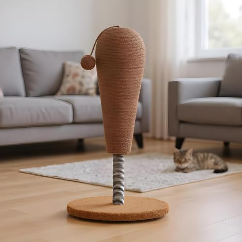 Griffoir pour jeune chat en sisal pour éducation comportementale