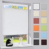 ♔Flexible Anwendung: Mit dem Griff können Sie das Rollo einfach hoch und unter schieben, um optimalen Sonnen- und Sichtschutz nach Ihrem Bedarf einzustellen. Kein Pendeln des Rollos, da das KlemmFix am Fensterflügel fest verspannt sein können. Die Jalousie ist perfekt für Wohnzimmer, Büro, Geschäftsräume, Küche, Kinderzimmer, Badezimmer, Studierzimmer, Balkontür, Terrassentür usw. geeignet.