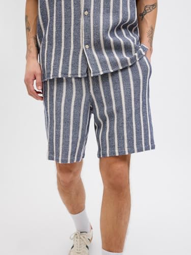 Vêtements Jack & Jones JPSTJAIDEN COBA STRIPE JOG SHORT SRT SN pour Accessoires - vue 7