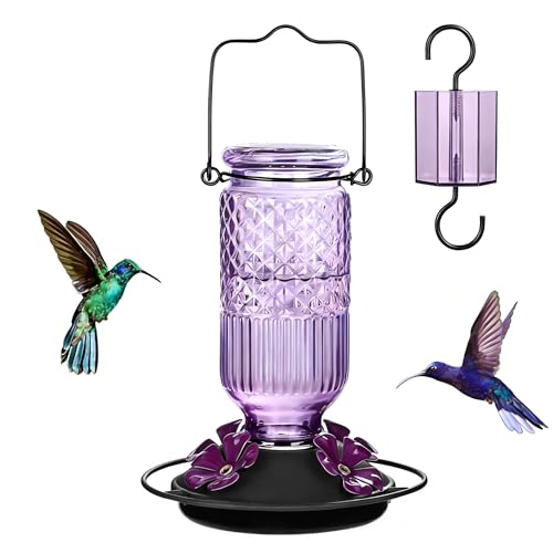FEED GARDEN Glass Hummingbird Feeder 16 oz Hanging Outdoor Feeder with Bee-Proof Ports, Ant Moat, Leakproof, Easy to Clean & Refill, 360° Perch, Purple