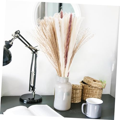 Holibanna Decoração Nórdica 300 Peças Flores junco secas material enchimento vaso ramos grama decora