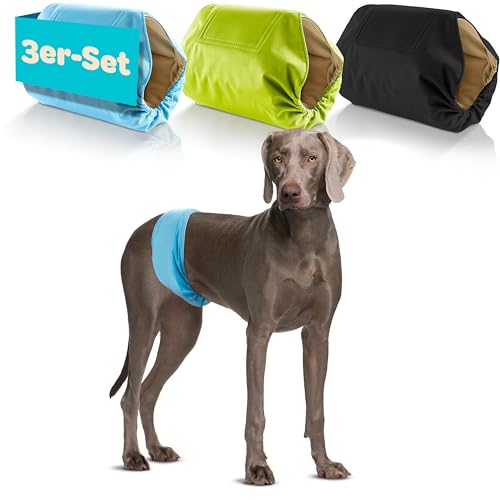 HUND IST KÖNIG Hundewindeln für Rüden [3 STK] Saugstarke Hundewindeln Rüde | Bequeme Hunde Windeln bei Inkontinenz Hund - Umweltfreundliche Rüdenwindel waschbar | Hundewindel leicht zu reinigen