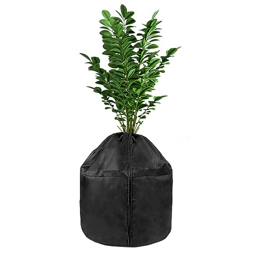 AJo[̓h~ | EB^[ c[ Jo[ Wbp[AВ | ApK[fN[VAApVF[hNXAؗpK[fJo[ Ibaste