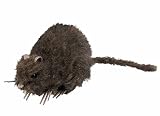 Boland 72162 Figurine pour décoration Rat Squelette, 15 x 8 cm