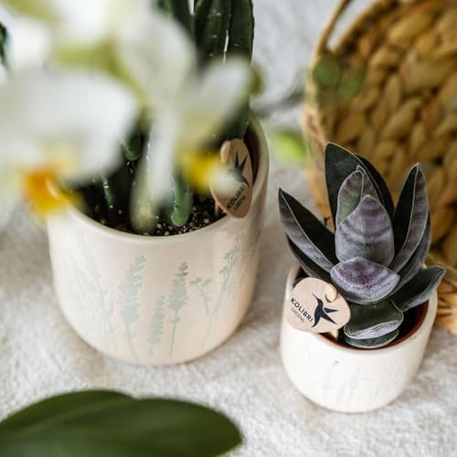 Pot de fleurs bleu clair robuste et moderne de diamètre 6 cm - 5